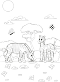 Coloriages animaux de la jungle - Coloriages - 10doigts.fr
